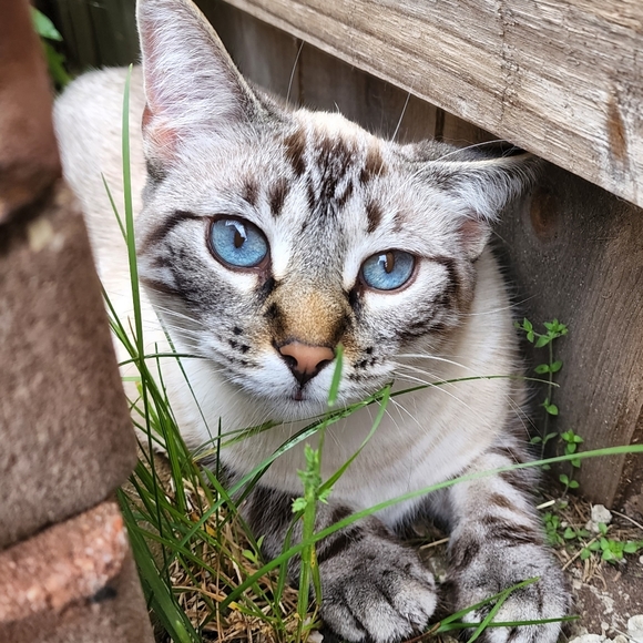 Meet your seller! - Picture 3 of 5